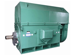 YJTFKK450-2AY系列6KV高压电机